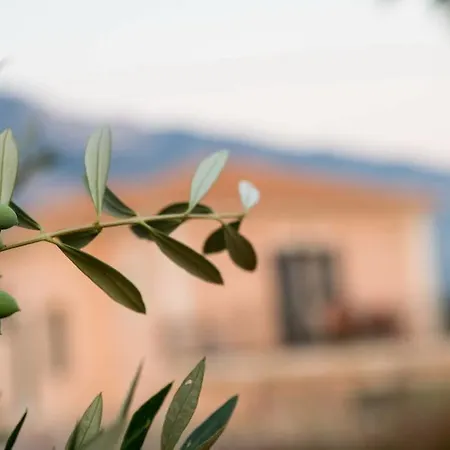 Korallis 2* Livathos (Kefalonia)