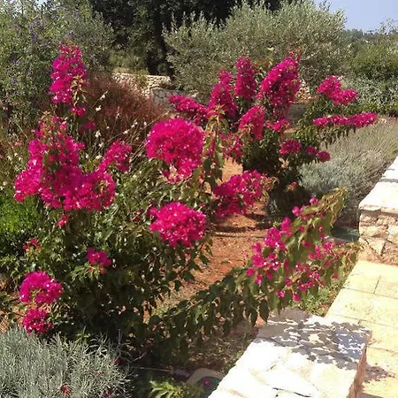 Korallis Hotel Livathos (Kefalonia)